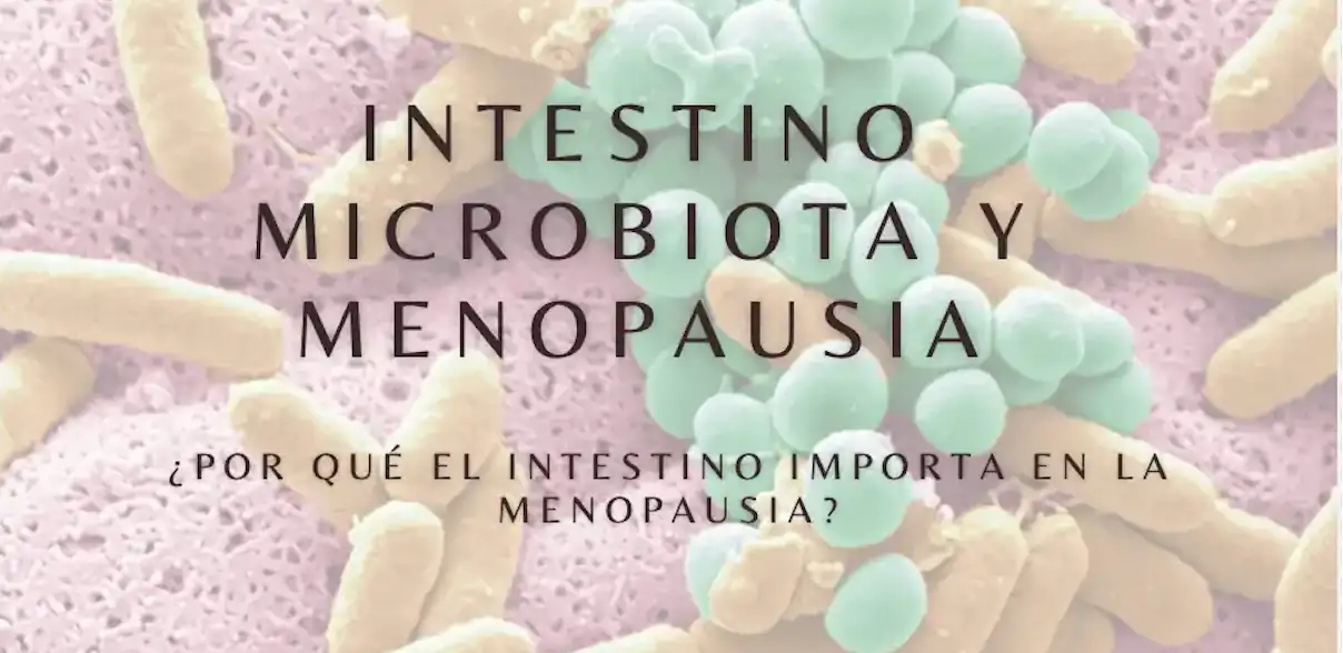 Portada de Microbiota y menopausia