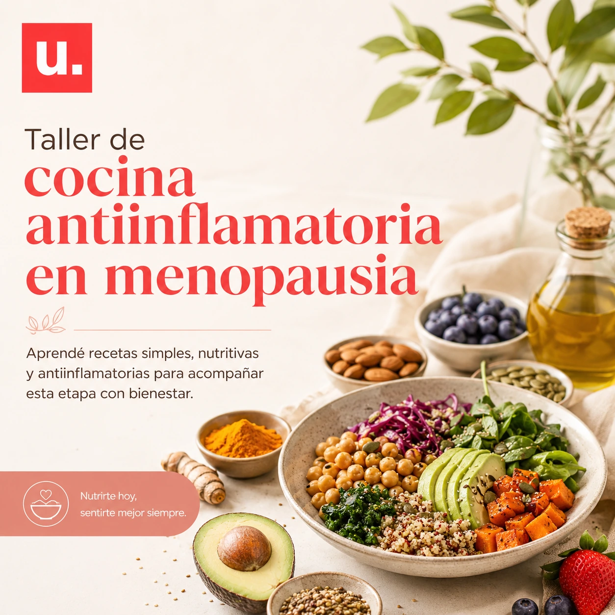 Portada de Cocina Antiinflamatoria en Menopausia